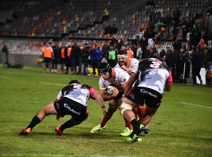 Cheetahs Win ‘Big Cat’ Duel